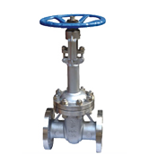 Cryogenic Gate Globe Valve