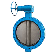 Concentric Butterfly Valve