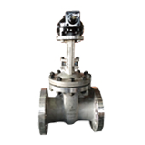 API603 Stainless Steel Valve
