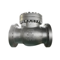 Full-opening Swing Check Valve